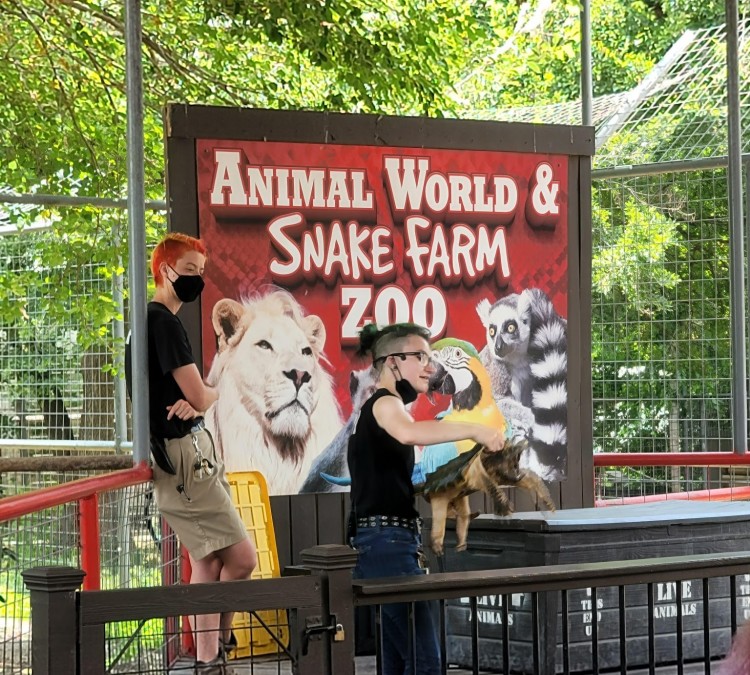 animal-world-snake-farm-zoo-photo